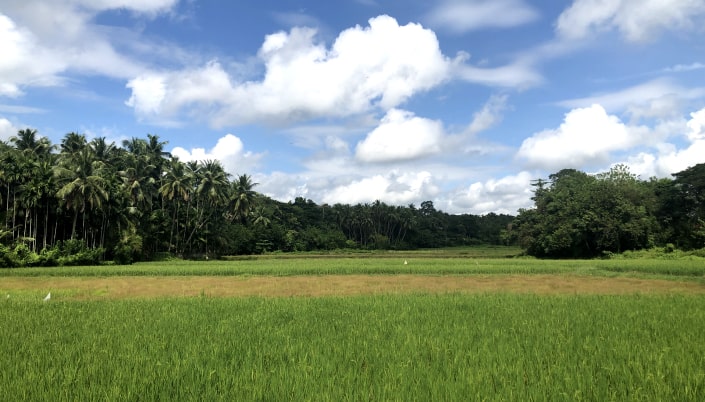 Traditional farming practices showcasing heritage and culture
